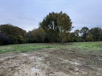 Freehold land for sale in Horsham