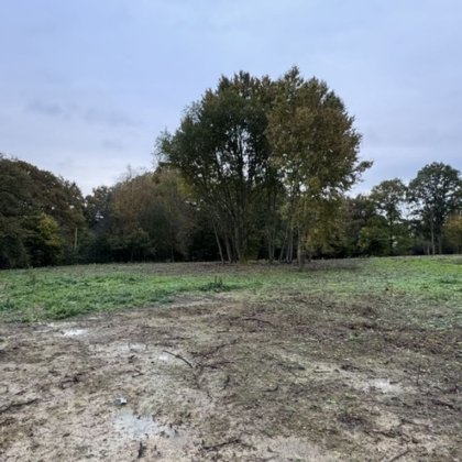 Freehold land for sale in Horsham