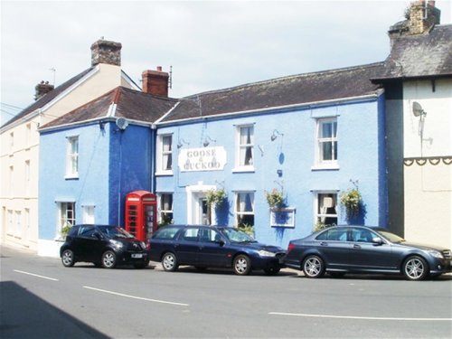 Pub for sale in Llangadog