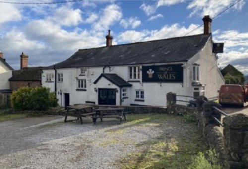 Freehold public house for sale in Wellington