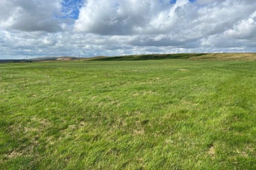 Pasture land for sale in Dalfram