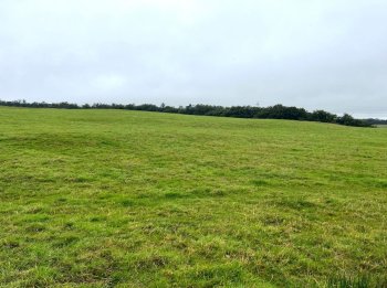 Pasture / woodland for sale in Kilbarchan