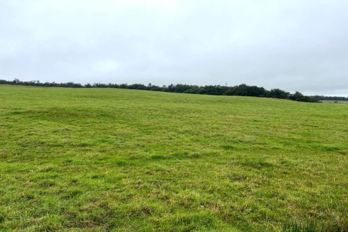 Pasture / woodland for sale in Kilbarchan