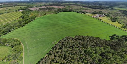 Farmland for sale at Alloa