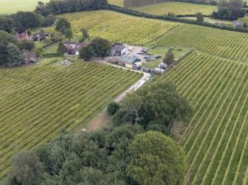 Vineyard with buildings for sale in Westfield