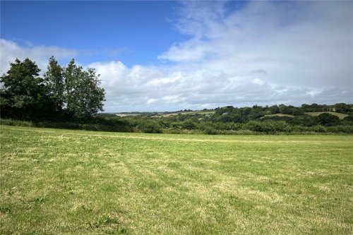 Pasture and woodland for sale in Okehampton