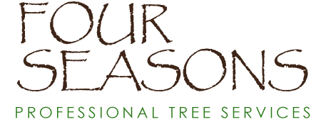 four-seasons-tree-services