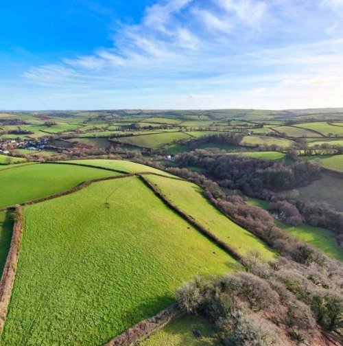 Farm land and building for sale in Harbertonford 