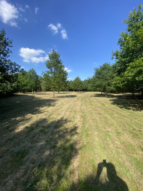 Land  for sale in Edenbridge