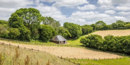 Traditional barn with planning for sale near Bridport